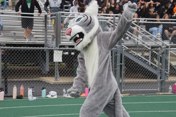 Willie the Wildcat cheers on students at the pep rally.