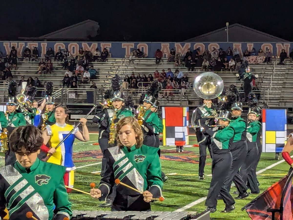 The marching band performs mid-show. 